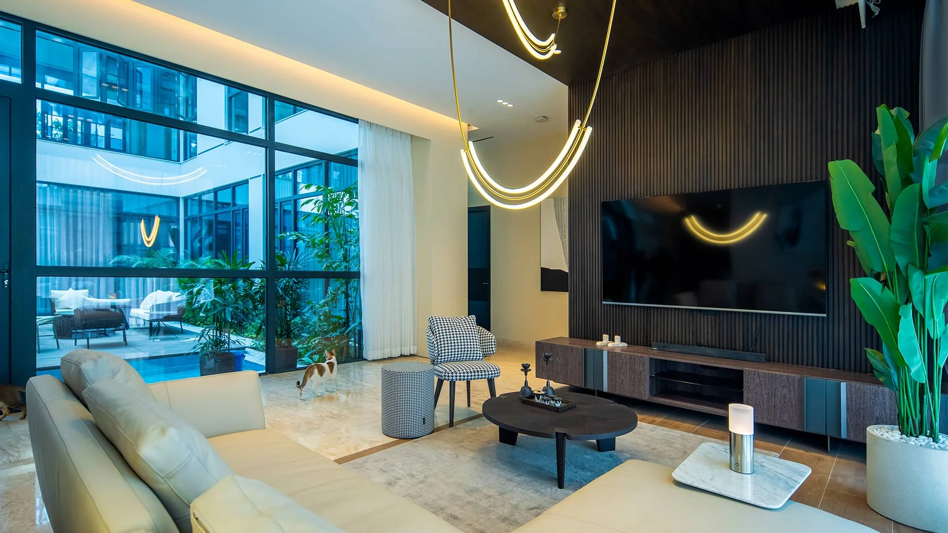 Oasis of Comfort