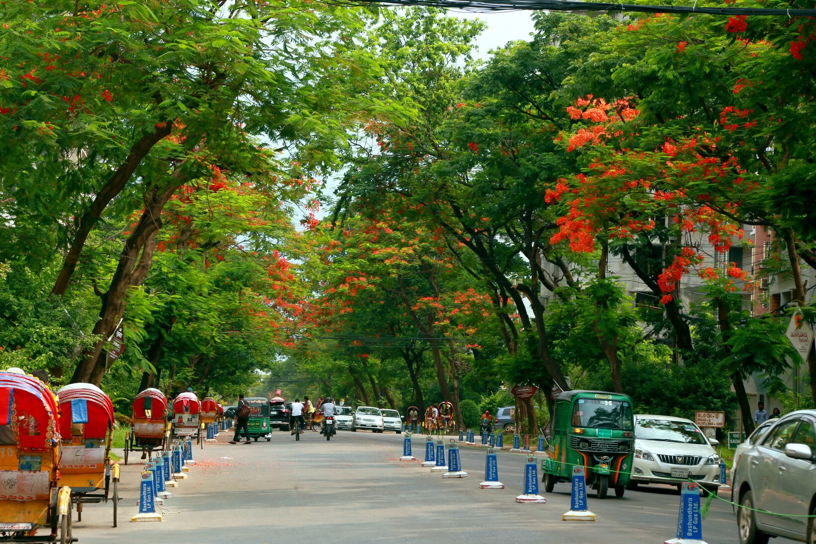 Bashundhara R/A The new upstate of Dhaka Edison Real Estate Ltd